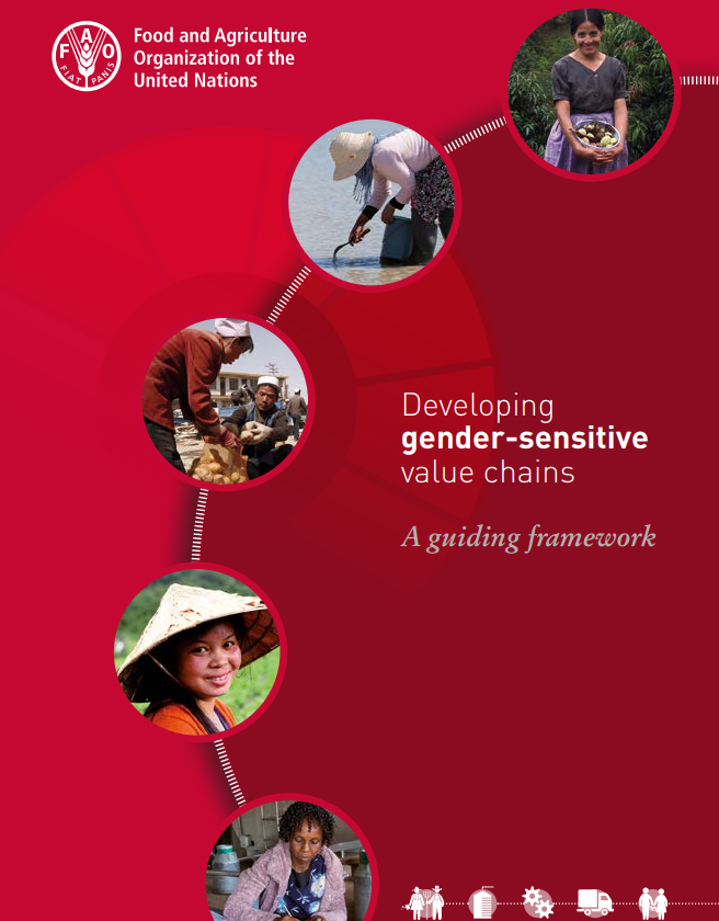 Developing Gender Sensitive Value Chains A Guiding Framework Policy Support And Governance 5773